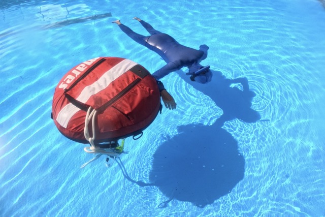 Cursos de apnea de todos los niveles en Canarias